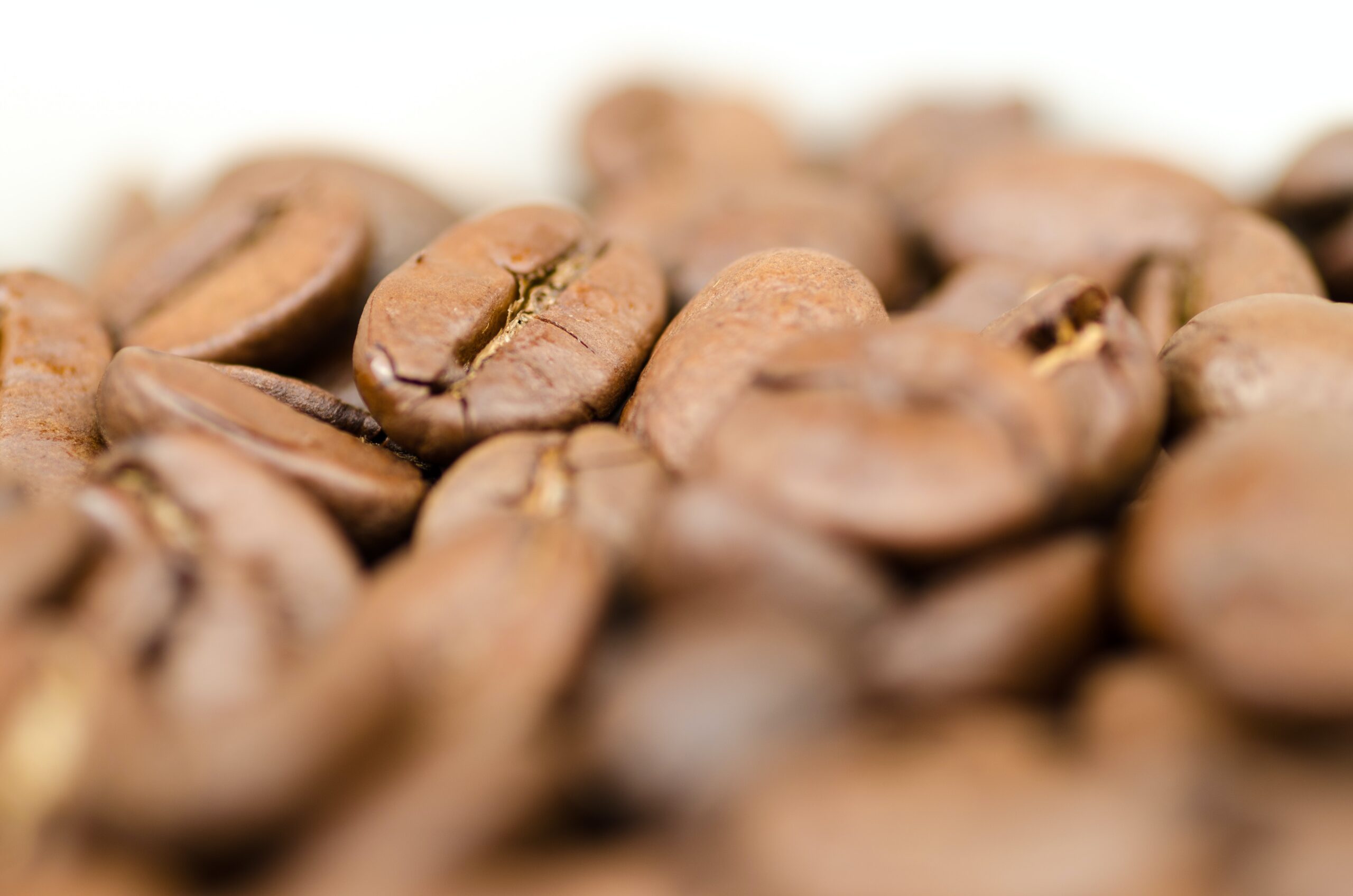 closeup-photography-of-coffee-beans-669165-scaled